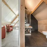 Thatched Luxury Leisure Farm For 6 People Дом отдыха Барле-Нассау