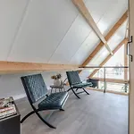 Thatched Luxury Leisure Farm For 6 People * Baarle-Nassau