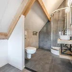 Thatched Luxury Leisure Farm For 6 People *